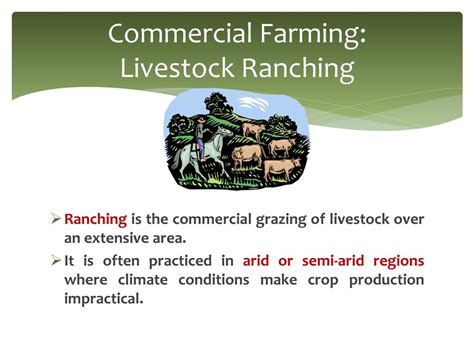 is livestock ranching subsistence or commercial