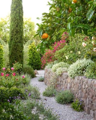  Marvels of Mediterranean Gardens: An Ode to Sun-Drenched Landscapes and Timeless Botanical Beauty